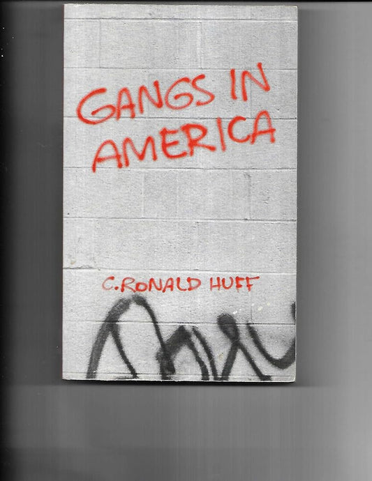 Gangs in America cover image