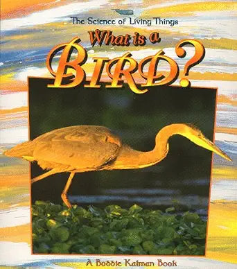 What Is a Bird? (Science of Living Things) cover image