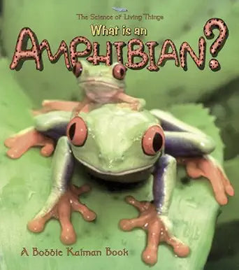 What is an Amphibian? (The Science of Living Things) cover image
