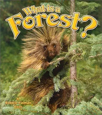What Is a Forest? (Science of Living Things) cover image