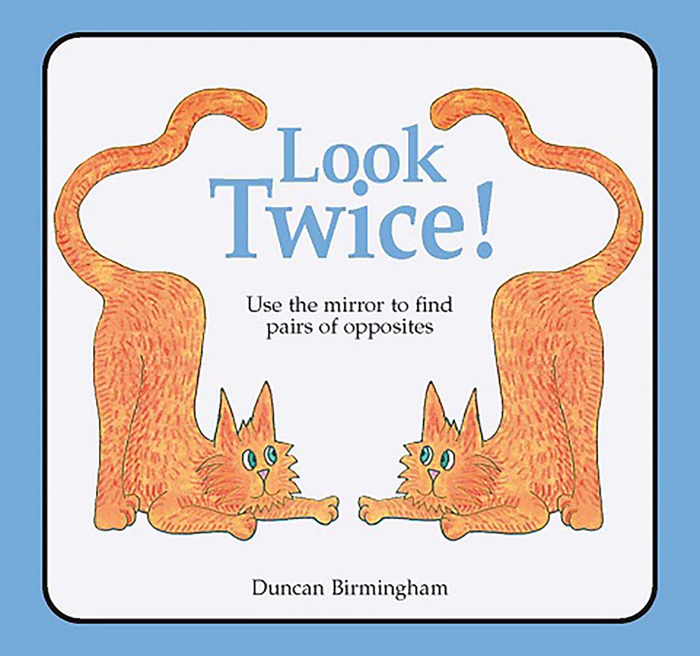 Look Twice: Use the Mirror to Find Pairs of Opposites cover image