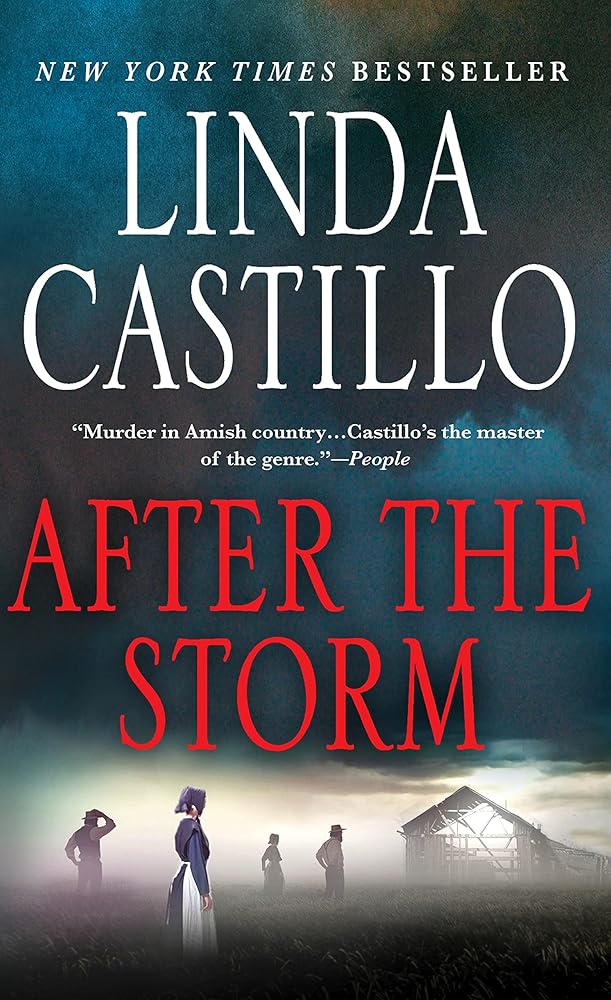 After the Storm: A Kate Burkholder Novel cover image
