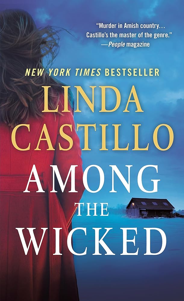 Among the Wicked: A Kate Burkholder Novel cover image