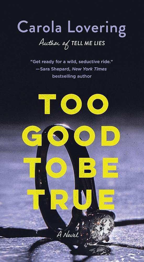 Too Good to Be True: A Novel cover image