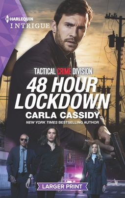 48 Hour Lockdown cover image