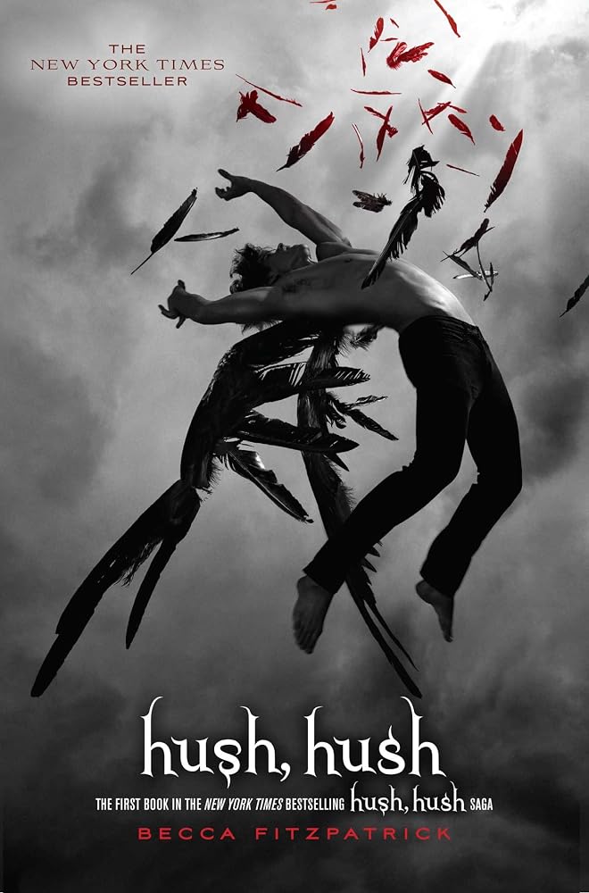 Hush, Hush (The Hush, Hush Saga) cover image