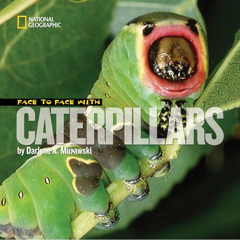 Face to Face with Caterpillars (Face to Face with Animals) cover image