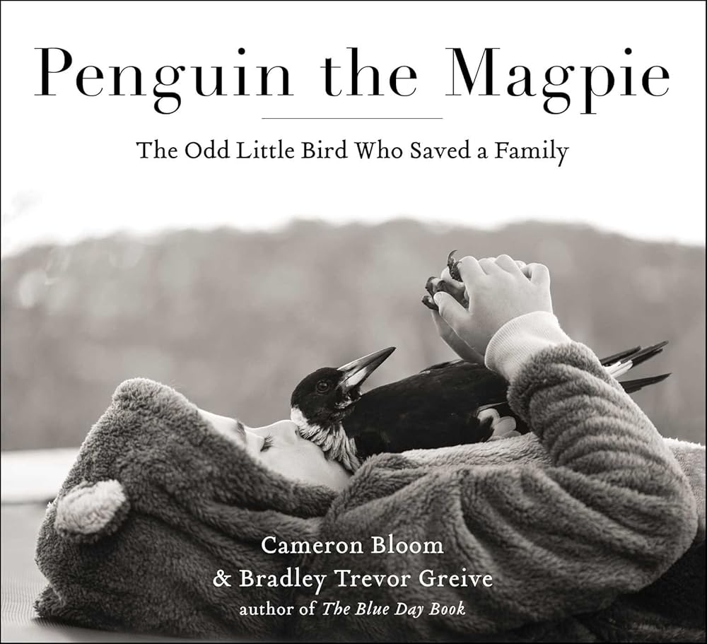 Penguin the Magpie: The Odd Little Bird Who Saved a Family cover image