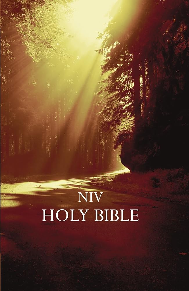 NIV, Outreach Bible, Paperback, Brown cover image