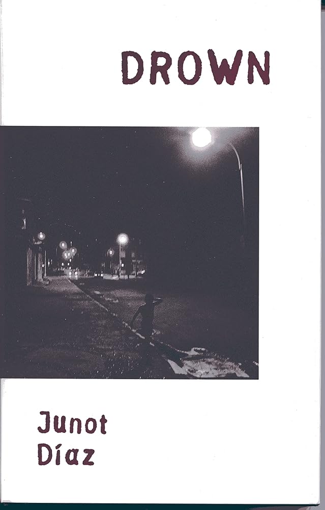Drown cover image