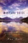 Montana Skies: Healing Love/Compassionate Love/Love Remembered/Love Abounds (Inspirational Romance Collection) cover image