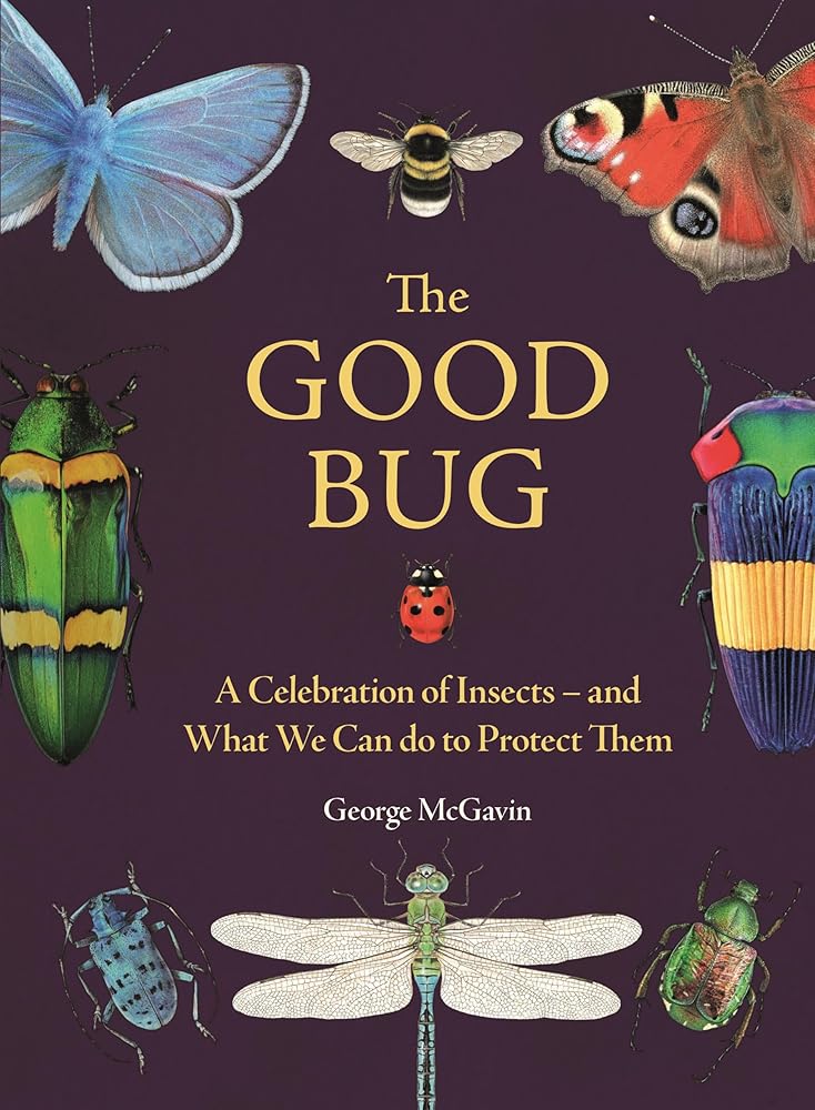 The Good Bug: A Celebration of Insects – and What We Can Do to Protect Them cover image