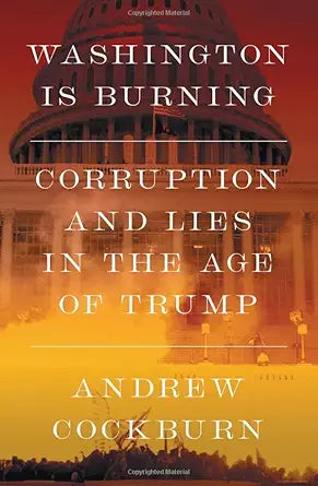 Washington Is Burning cover image