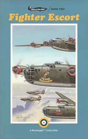 Fighter Escort cover image