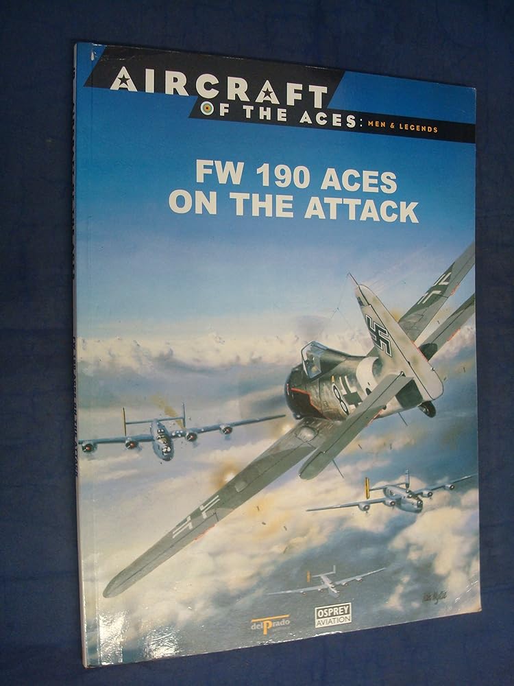 Fw 190 Aces on the attack cover image