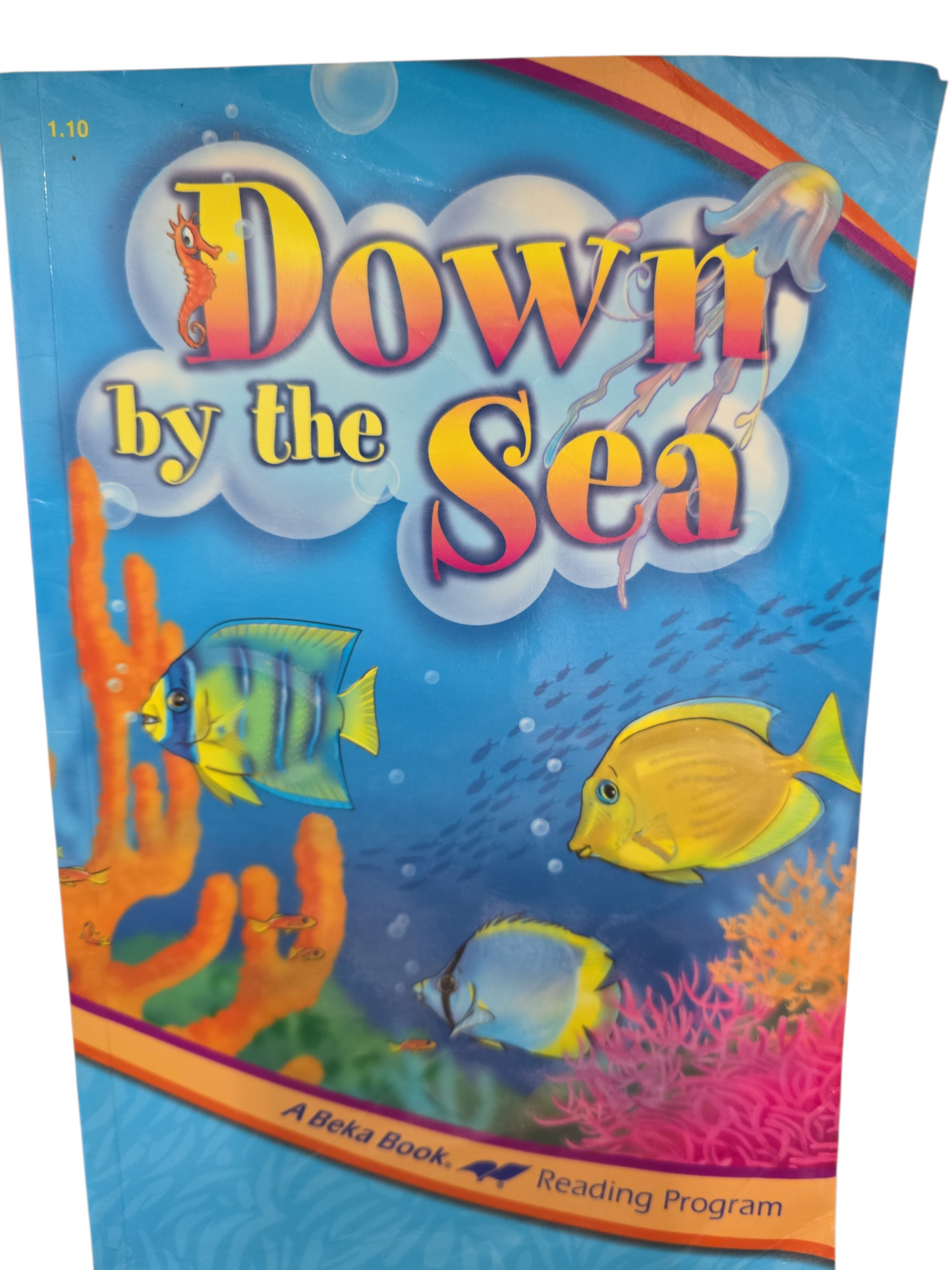 DOWN BY THE SEA (USED) CNF