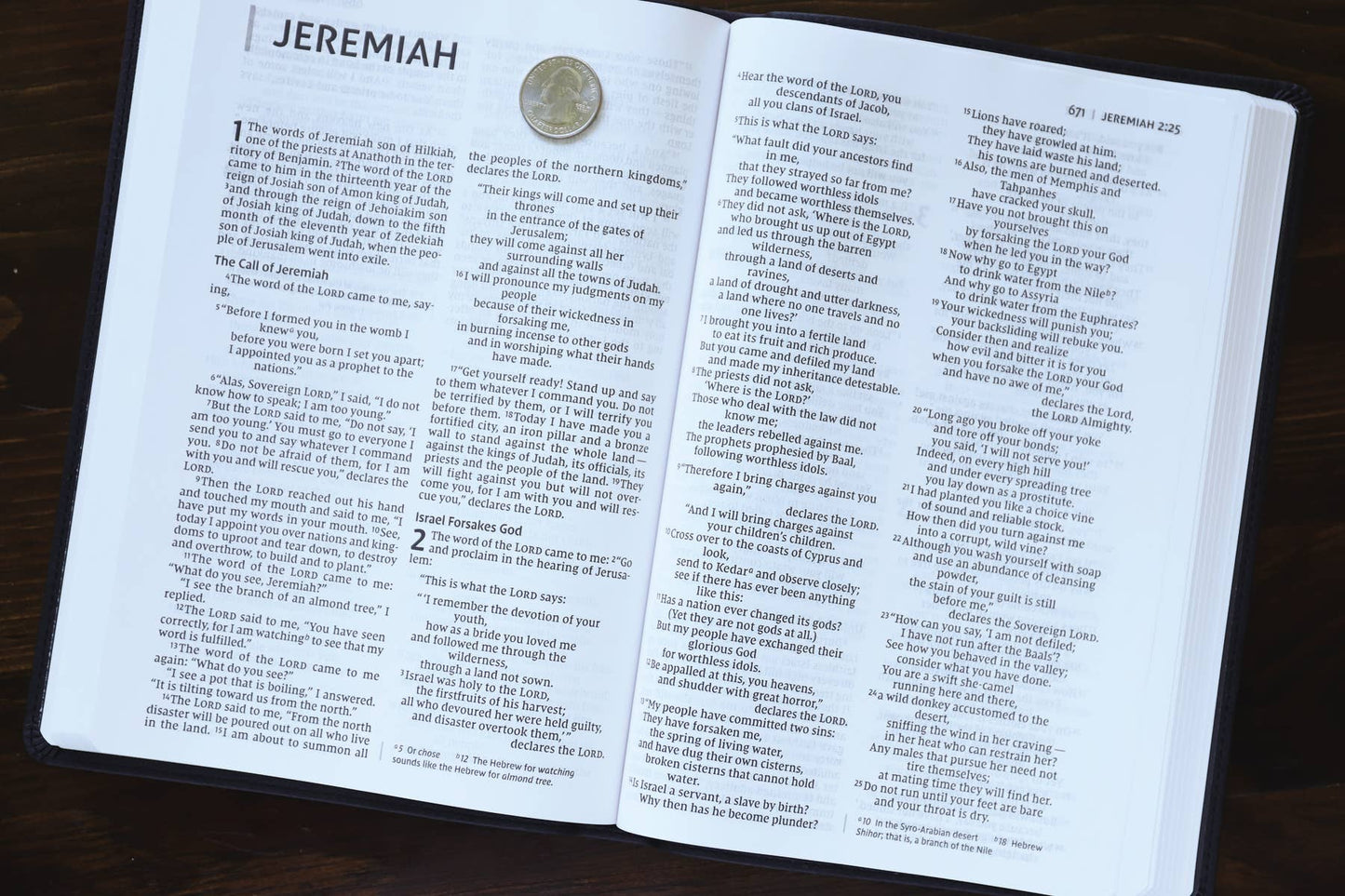 NIV Value Thinline Bible Large Print Leathersoft Gray/Black