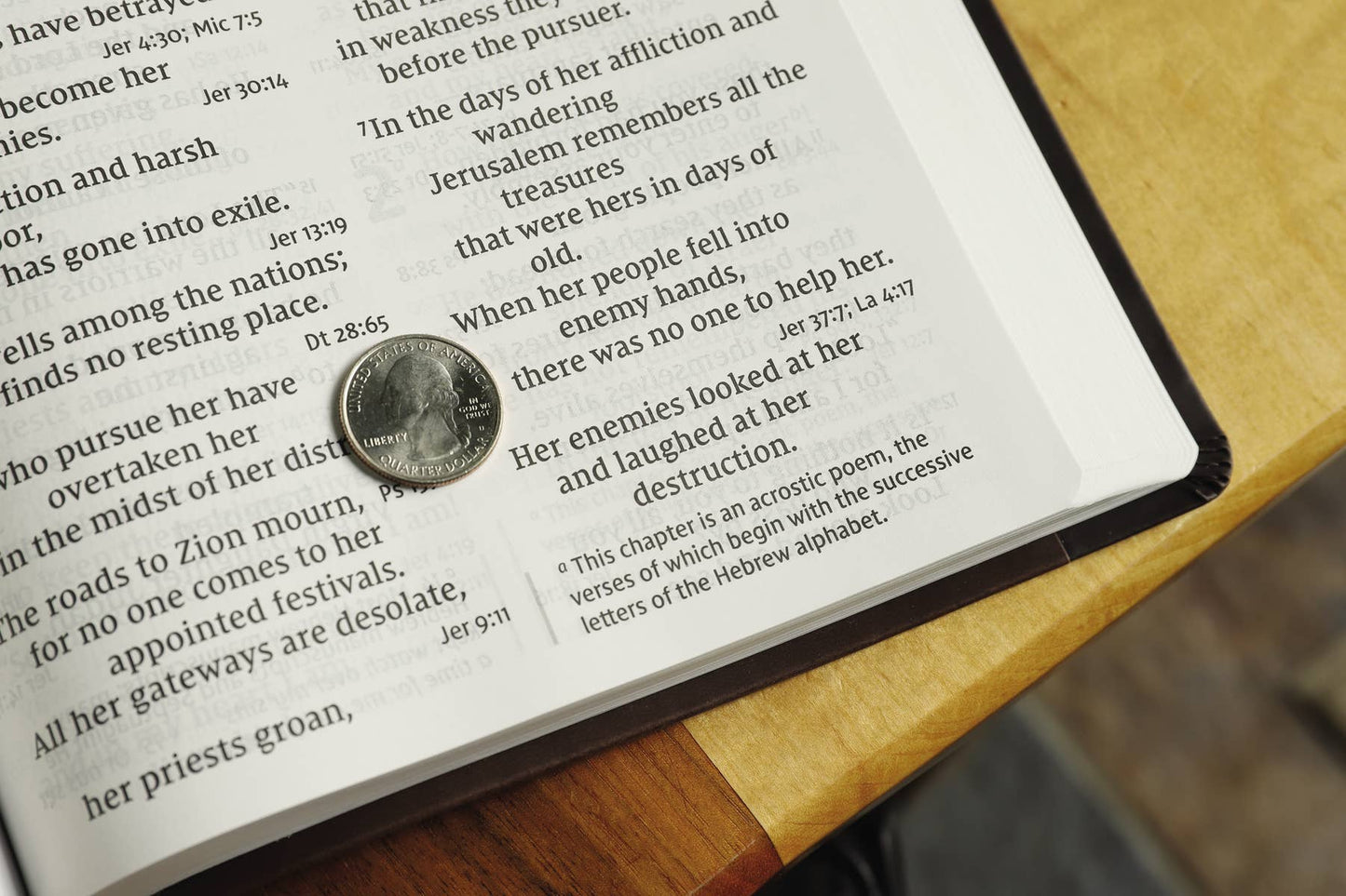 NIV Super Giant Print Reference Bible Leathersoft Brown