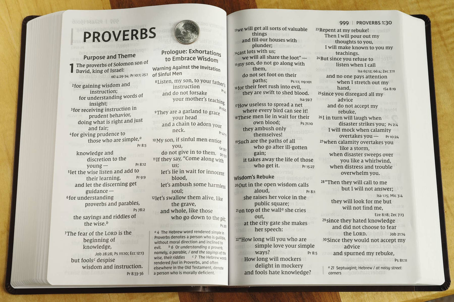 NIV Super Giant Print Reference Bible Leathersoft Brown